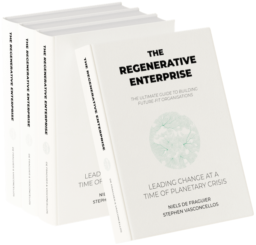 Book Sustainability Regenerative Business