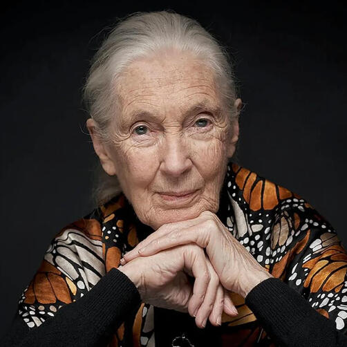 Jane Goodall